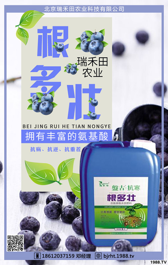 ���t��ʲô�r�g�Nֲ�����t���Nֲ����