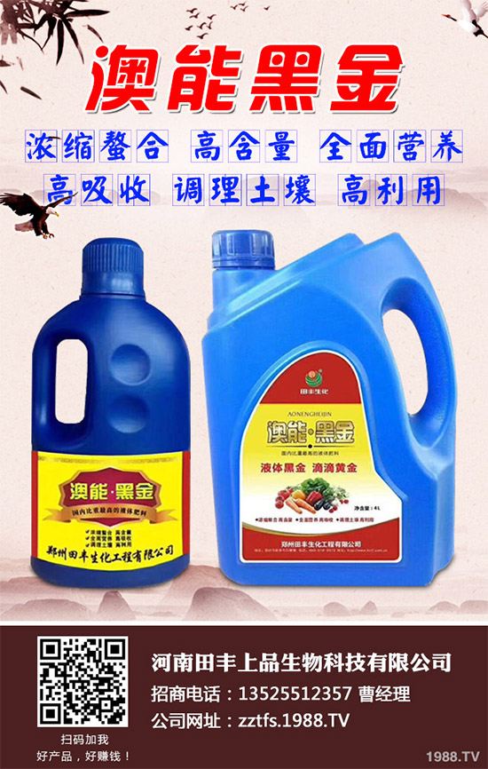 ���Ĳ�����Щ�I(y��ng)�B(y��ng)�r(ji��)ֵ���Ծ��Ĳ�����Щ��̎������Գ�������