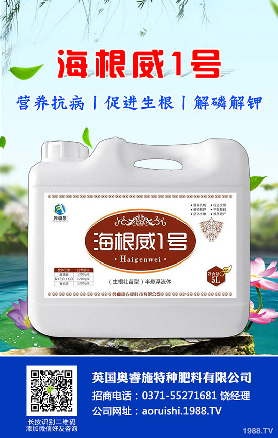 吃芋頭有哪些好處，芋頭的營養(yǎng)價值及食用禁忌！