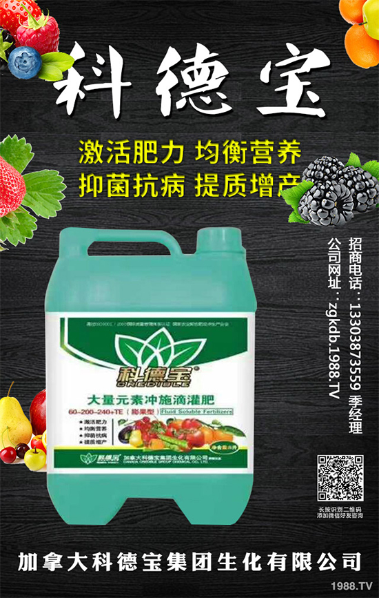 九月種什么蔬菜比較好？2019年9月蔬菜種植指南