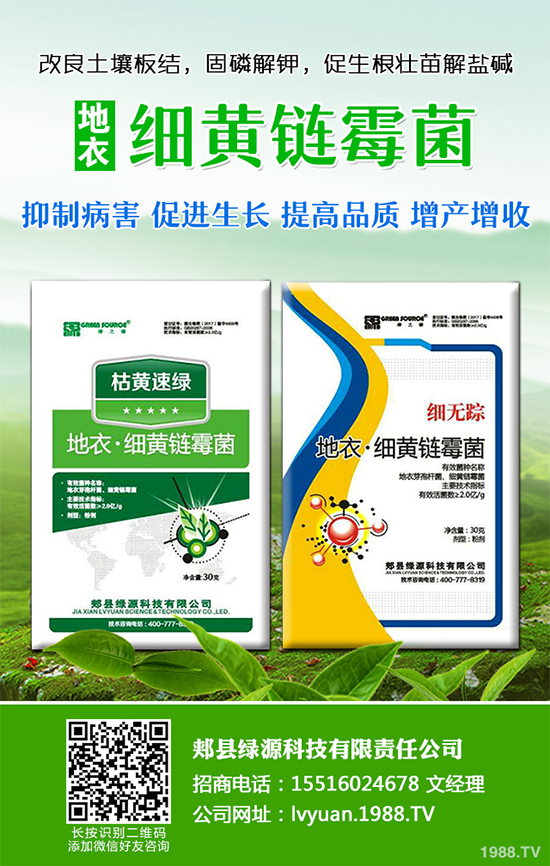 九月種什么蔬菜比較好？2019年9月蔬菜種植指南