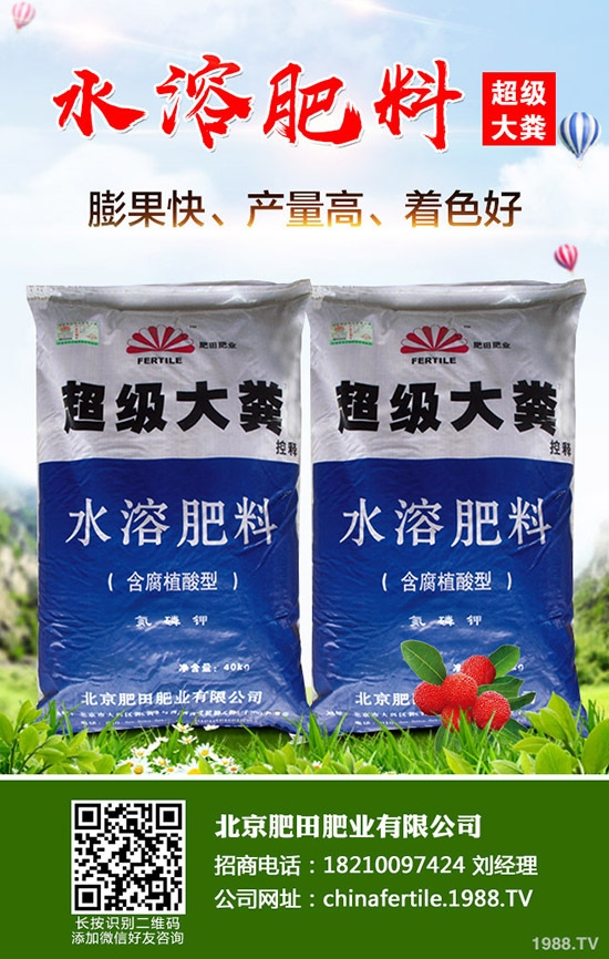 草莓得了紅中柱根腐病怎么辦？草莓紅中柱根腐病識(shí)別方法和防治！