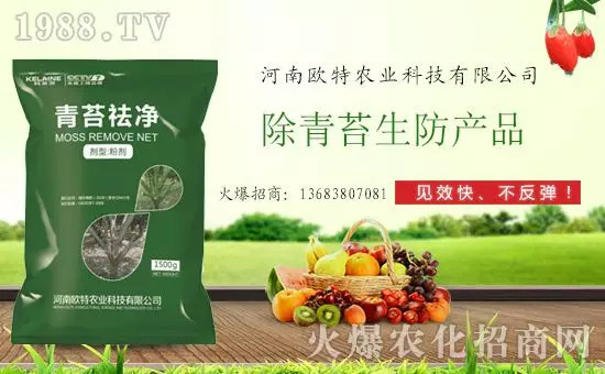 �������̦���������������Ƀ�����̦�oۙ��