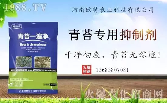 �������̦���������������Ƀ�����̦�oۙ��