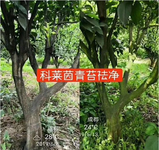 �������̦���������������Ƀ�����̦�oۙ��