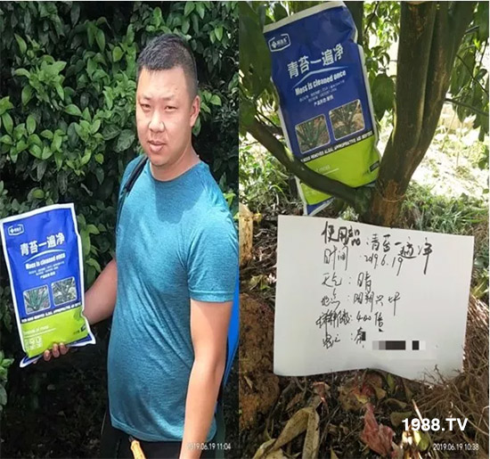 �������̦���������������Ƀ�����̦�oۙ��