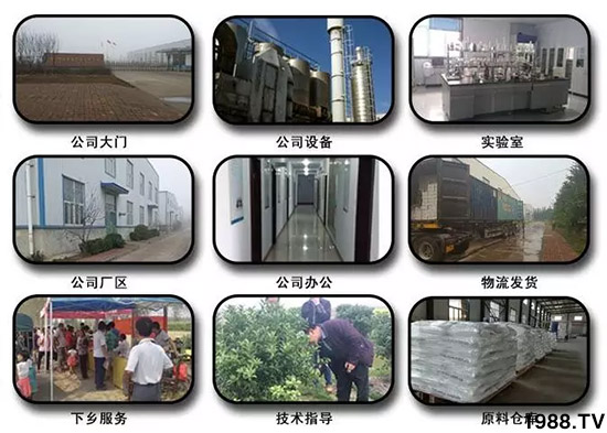 �������̦���������������Ƀ�����̦�oۙ��