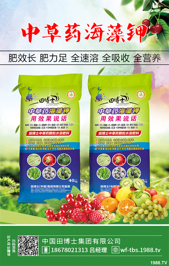 種植重樓能賺錢(qián)嗎？重樓種植前景及效益分析