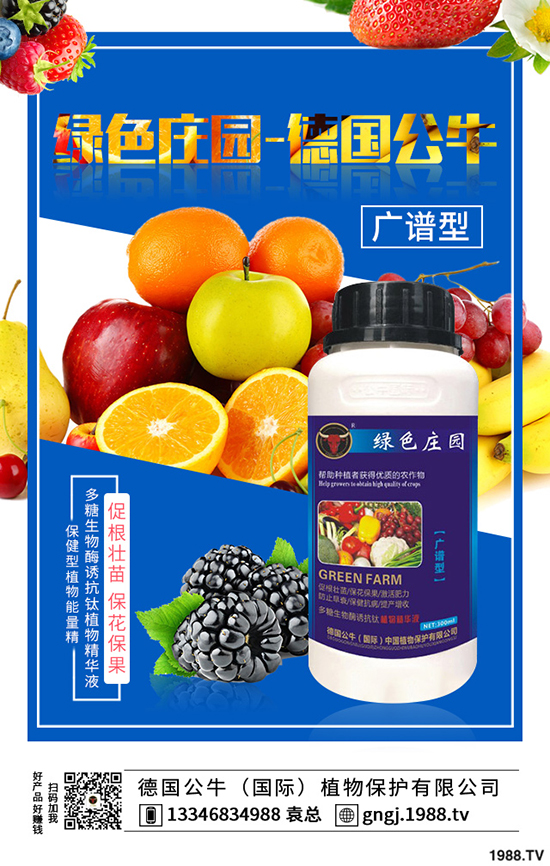 如何種植紫薯更高產(chǎn)，紫薯的種植方法與前景！