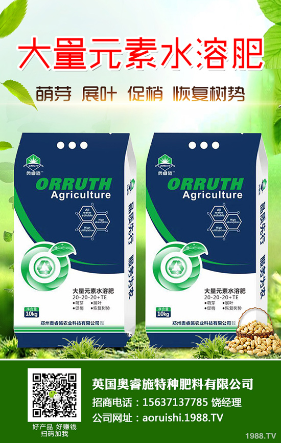 ��������ηNֲ�������׵ĸ߮a(ch��n)���༼�g(sh��)