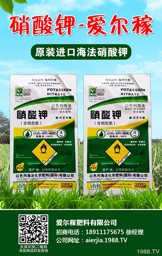 С�[��ô�Nֲ�a(ch��n)������С�[�ķNֲС������