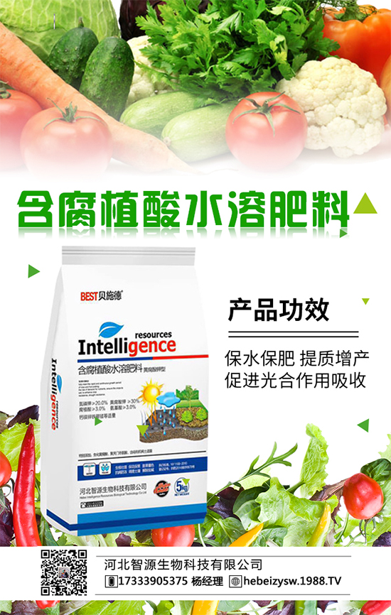 西瓜施肥有方法,請認(rèn)準(zhǔn)西瓜施肥的全套方案!