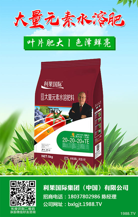     �۲˰߿ݲ�����ЩΣ���Y��۲˰߿ݲ���Σ��������