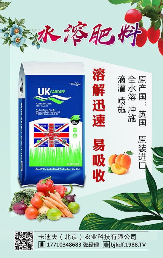 黃花菜要怎么種植？黃花菜對環(huán)境條件的要求！