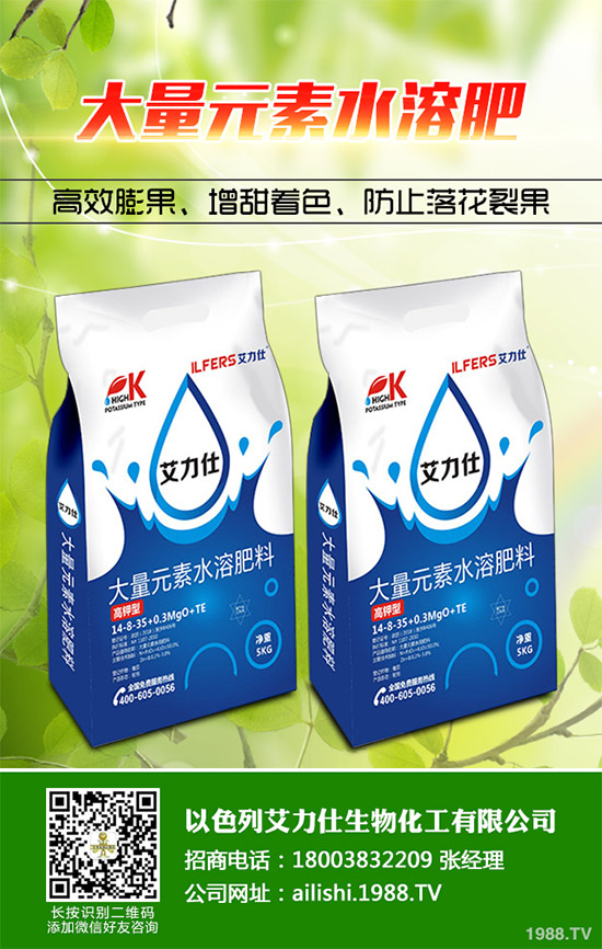 �۲˸���������ΰl(f��)������ԓ���ӷ�������������ɣ�