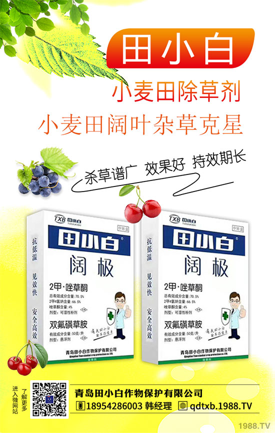 2020��1��17�ճ��݄�ԭˎ�Ј��r���߄�