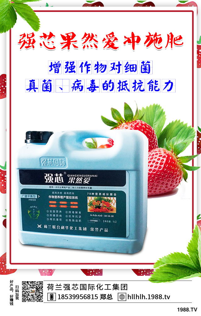 2020年種植什么蔬菜能掙錢？2020年蔬菜種植前景分析