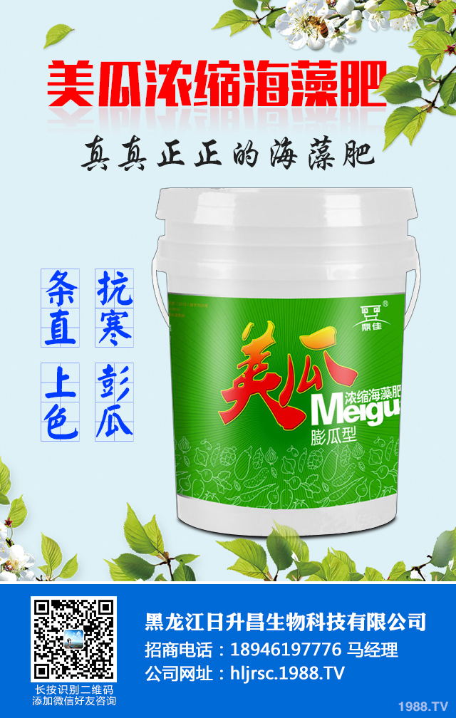 2020年種植什么蔬菜能掙錢？2020年蔬菜種植前景分析