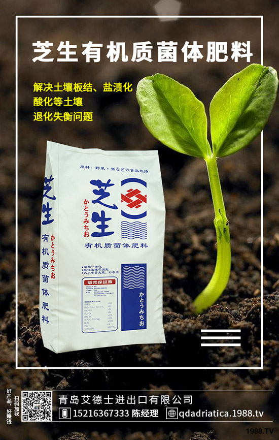 櫻桃有哪些營(yíng)養(yǎng)價(jià)值,櫻桃的功效與作用是什么,如何選購(gòu)?