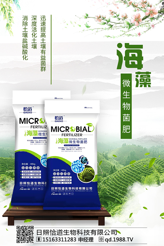     松茸有哪些營養(yǎng)價值？吃松茸有什么好處？