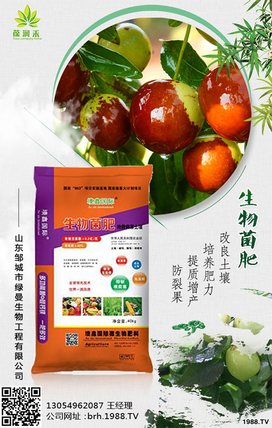 西蘭花什么時候種植？西蘭花種植注意事項！