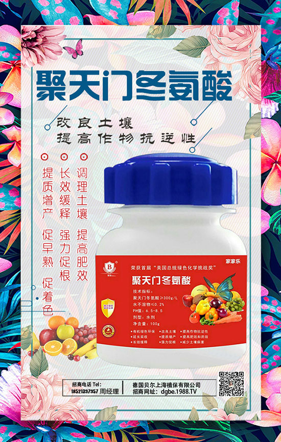 黃金茶種植前景 黃金茶市場(chǎng)需求