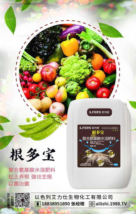 扁豆什么時間種植？扁豆高產(chǎn)栽培技術(shù)！