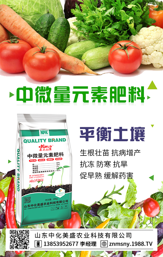 扁豆的營養(yǎng)成分，扁豆的食用禁忌！