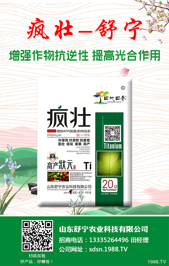 種植香菇需要投入多少？香菇種植成本利潤分析