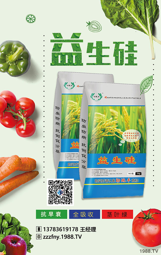 大蒜產(chǎn)量拔高，冬季施肥要注意四項！