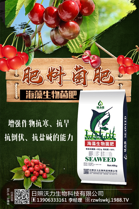 芒果種植需要哪些條件？芒果種子剝殼催芽技術(shù)！