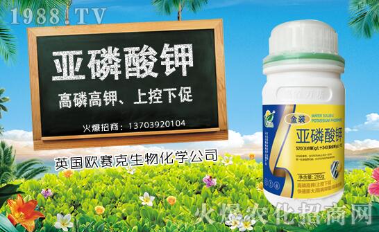 ľ��ʲô�r(sh��)��Nֲ��ľ�ϷNֲ�r(sh��)�g���Nֲ���g(sh��)Ҫ�c(di��n)��