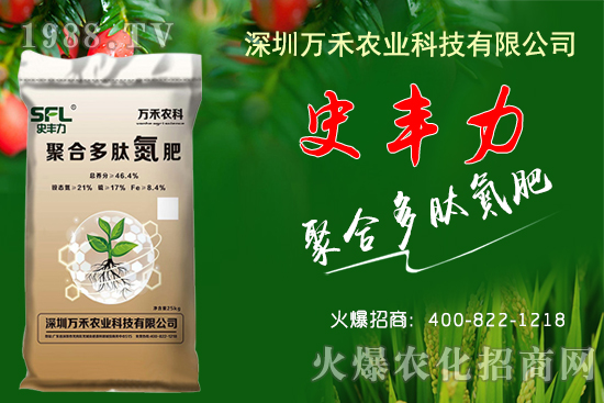 花生價格每斤高達6元？2020年10月17日各地花生價格行情
