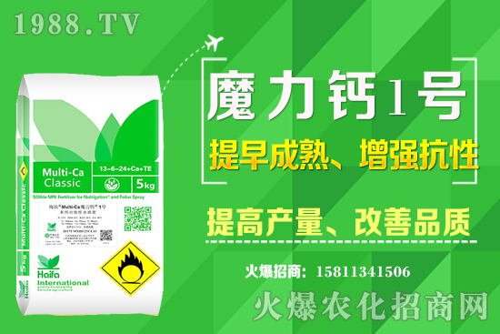 十月下旬適合種植什么中藥材？哪些中藥材賺錢收益高？