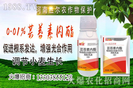 С���r���ϝq��(ji��)����u�d�������п�����10��22��С���r������