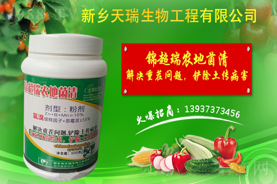 洋蔥如何施肥？洋蔥施肥方法及播種時間！