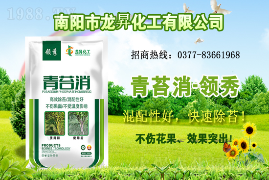 �󶹹�����(y��ng)�󣬃r(ji��)����m(x��)�ϝq�����ش󶹃r(ji��)������