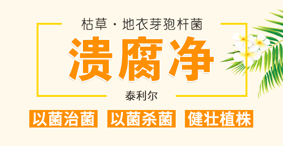 50g磷酸二氫鉀-卡施特_01