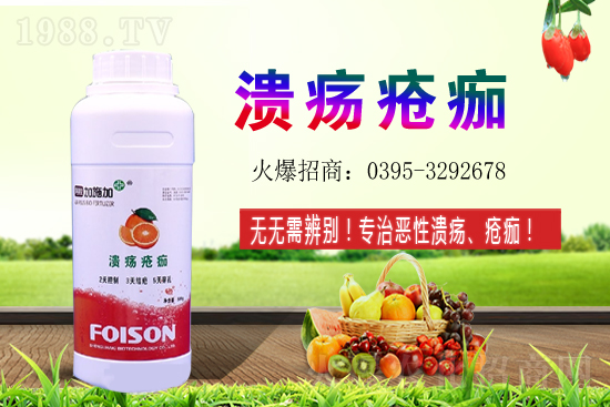 2021年石榴種植收益如何？石榴的利潤(rùn)前景怎么樣？