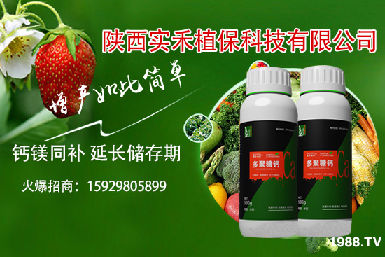 ���t�����~��ʲôԭ�������t�����~���δ�ʩ����Щ��