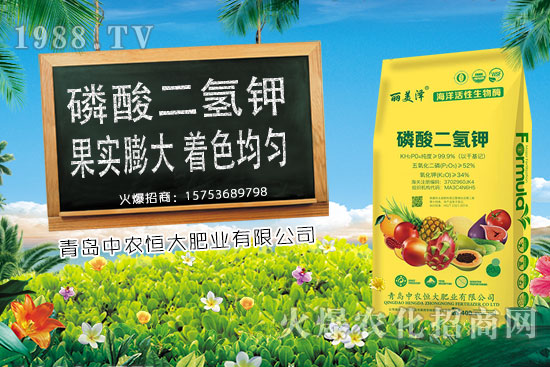 ����С���r(ji��)���ϝq�������Ƿ��(hu��)���m(x��)�ϝq��