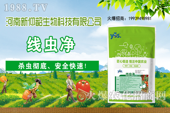 多肉植物該怎么澆水？多肉植物澆水要注意哪些問(wèn)題呢？