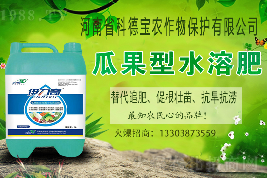 江西贛南臍橙什么時候成熟上市？如何挑選贛南臍橙？