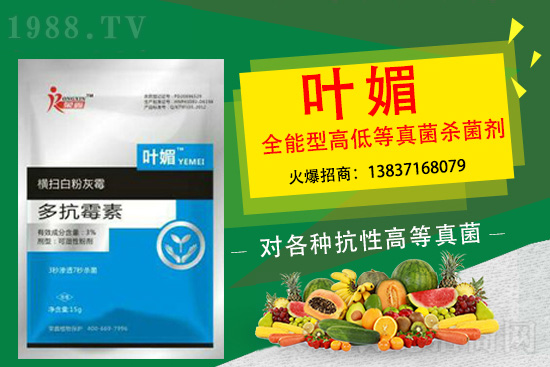 ����������(y��n)��̫�y�p������p�ɽ�Q��