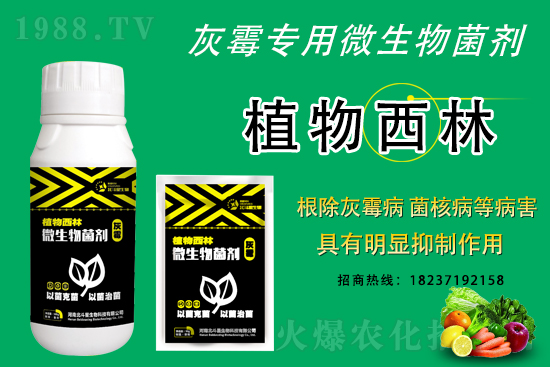 灰霉病不好治的原因，怎么做防治效果好？