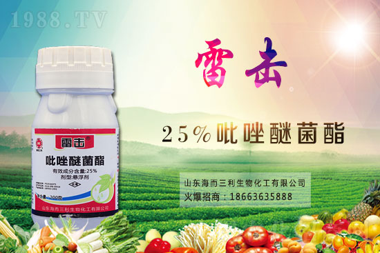 魔芋價(jià)格多少錢(qián)一斤?2021年魔芋種植前景如何?