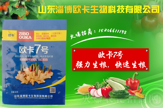 �󽪠����Ӳ���ʲô�����󽪠����Ӳ���ʲôˎ�÷���