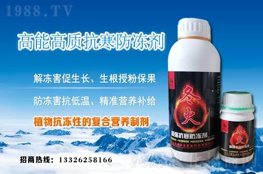 早春韭菜如何施肥？韭菜施肥方法和注意事項(xiàng)！