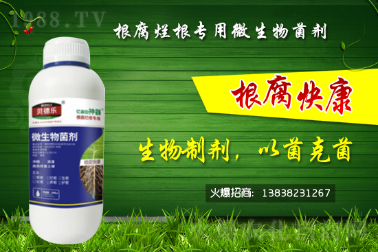 ΢������������θ�����������ô�x����