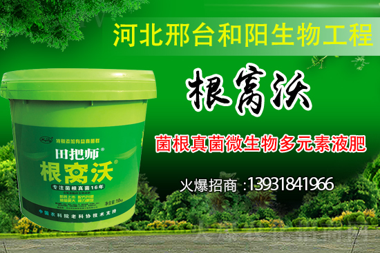 ��Щ��������������������ȡʲô��ʩ���Է�����